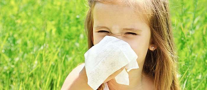 Can Allergies Cause A Fever? Find Answers To Common ...