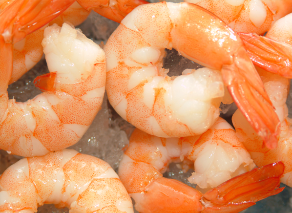 Can Antibiotics in Shrimp Spark Allergic Reactions