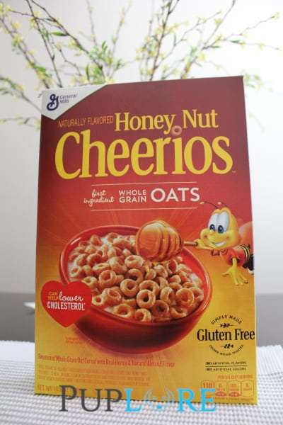 Can Dogs Eat Honey Nut Cheerios? They are a tasty snack!