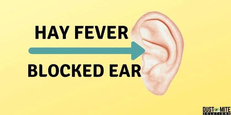 Can Hay Fever Cause Blocked Ears (It Caused MIne)