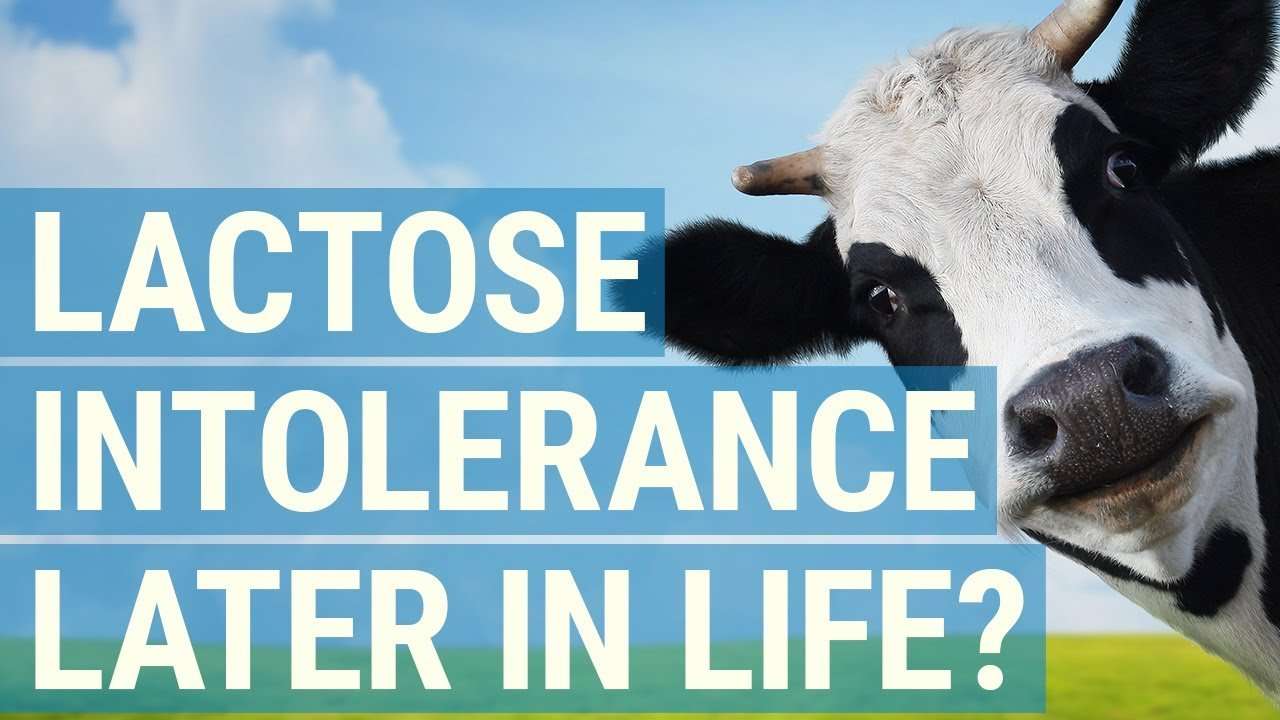 Can You Develop Lactose Intolerance Later in Life?