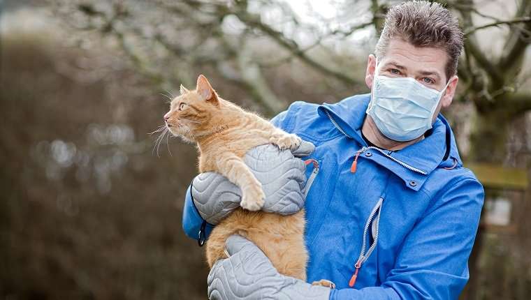 Can You Die From A Cat Allergy?