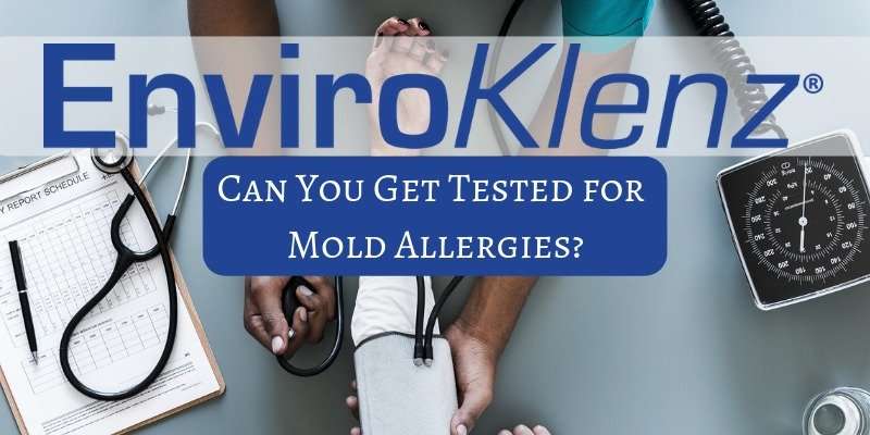 Can You Get Tested for Mold Allergies?