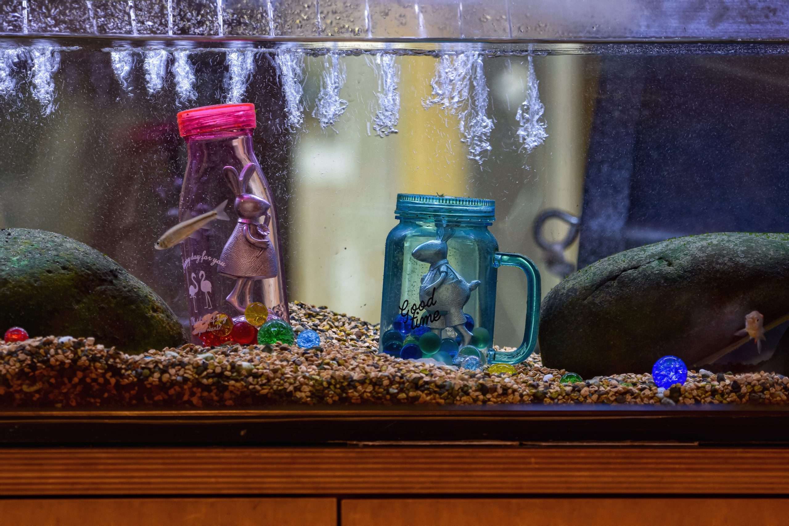 Can You Turn A Fish Tank Into A Reptile Tank?