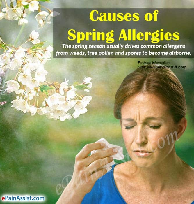 Causes of Spring Allergies &  Home Remedies to Get Rid of It