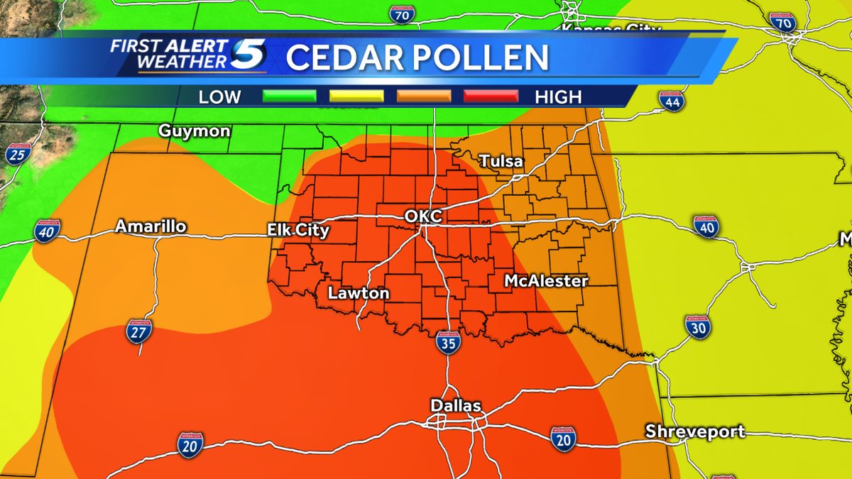 Cedar fever starts early this year, allergy sufferers ...