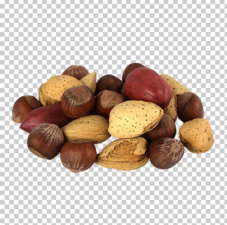 Chestnut Tree Nuts Png &  Free Chestnut Tree Nuts.png Transparent Images ...