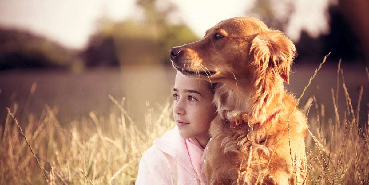 Children Who Grow Up With Dogs Are Less Likely To Develop Food Allergies