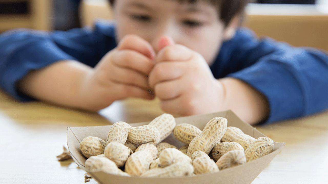 Children with peanut allergies may no longer have to suffer