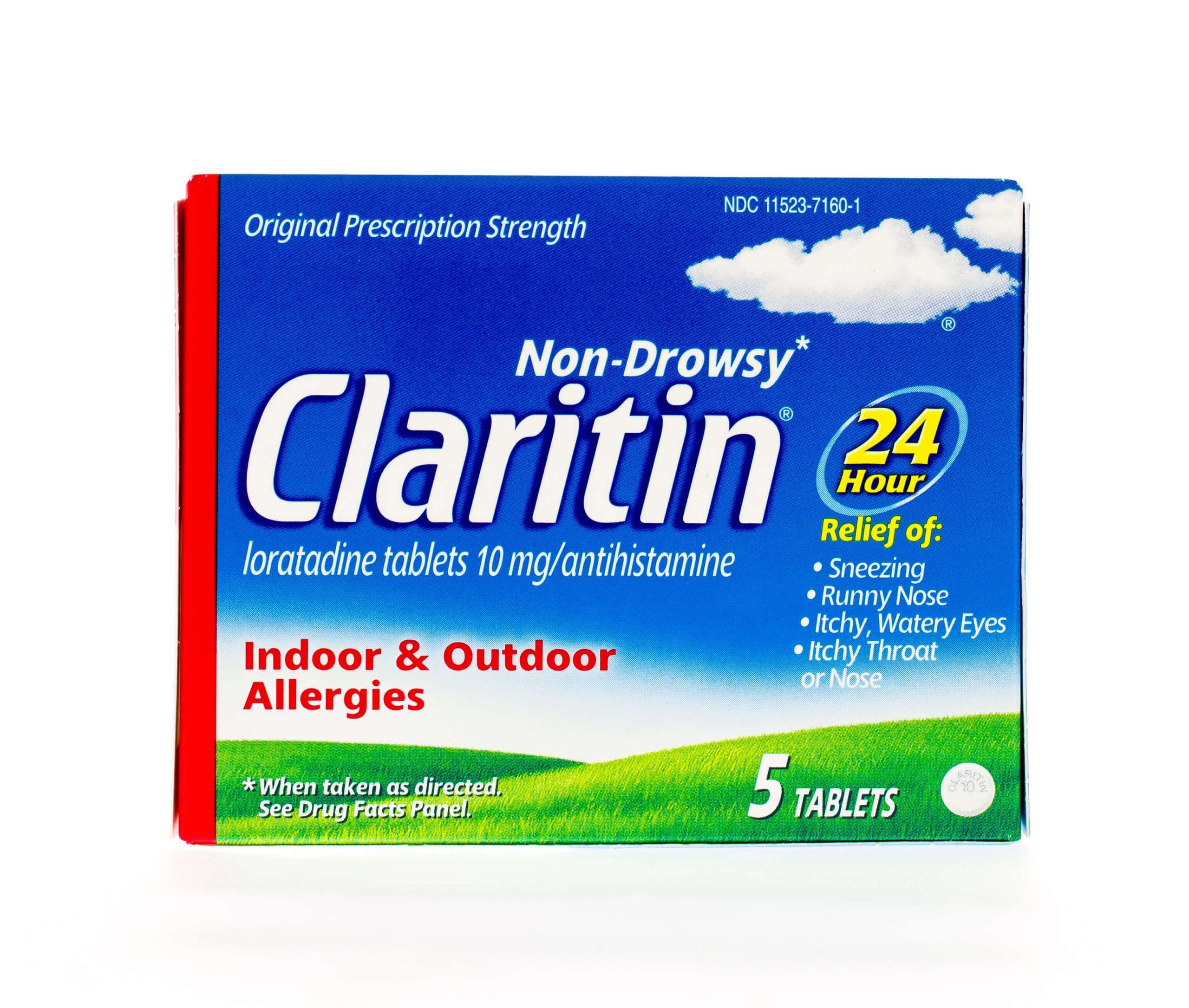 Claritin for Dogs: Yes or No?
