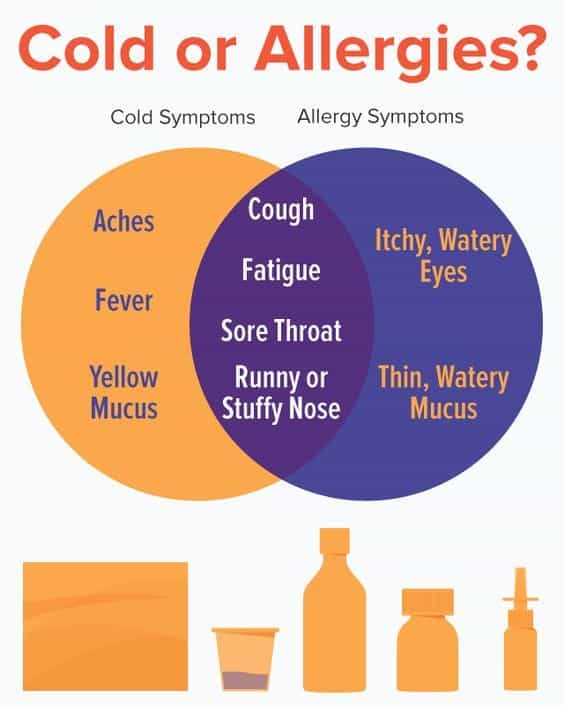 Cold or Allergies? Knowing the differences between both will allow you ...