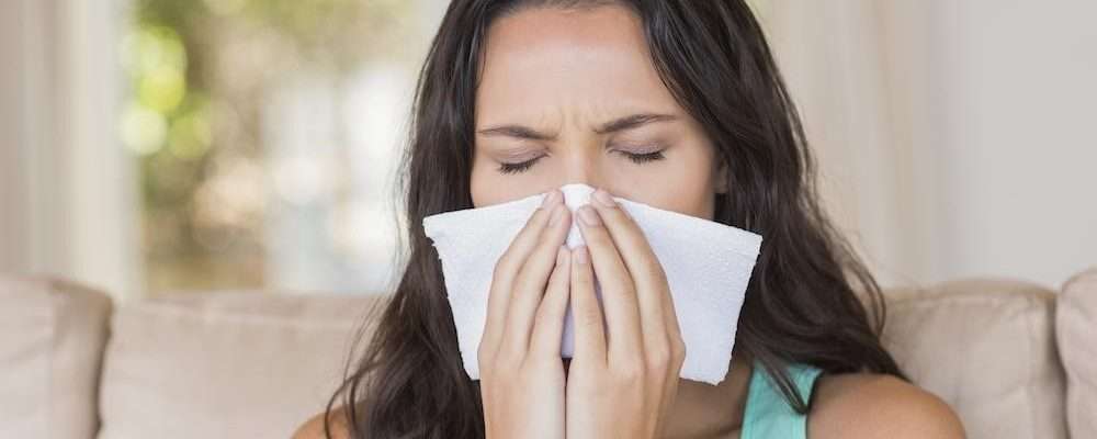 Common Indoor Allergy Triggers and How to Avoid Them ...