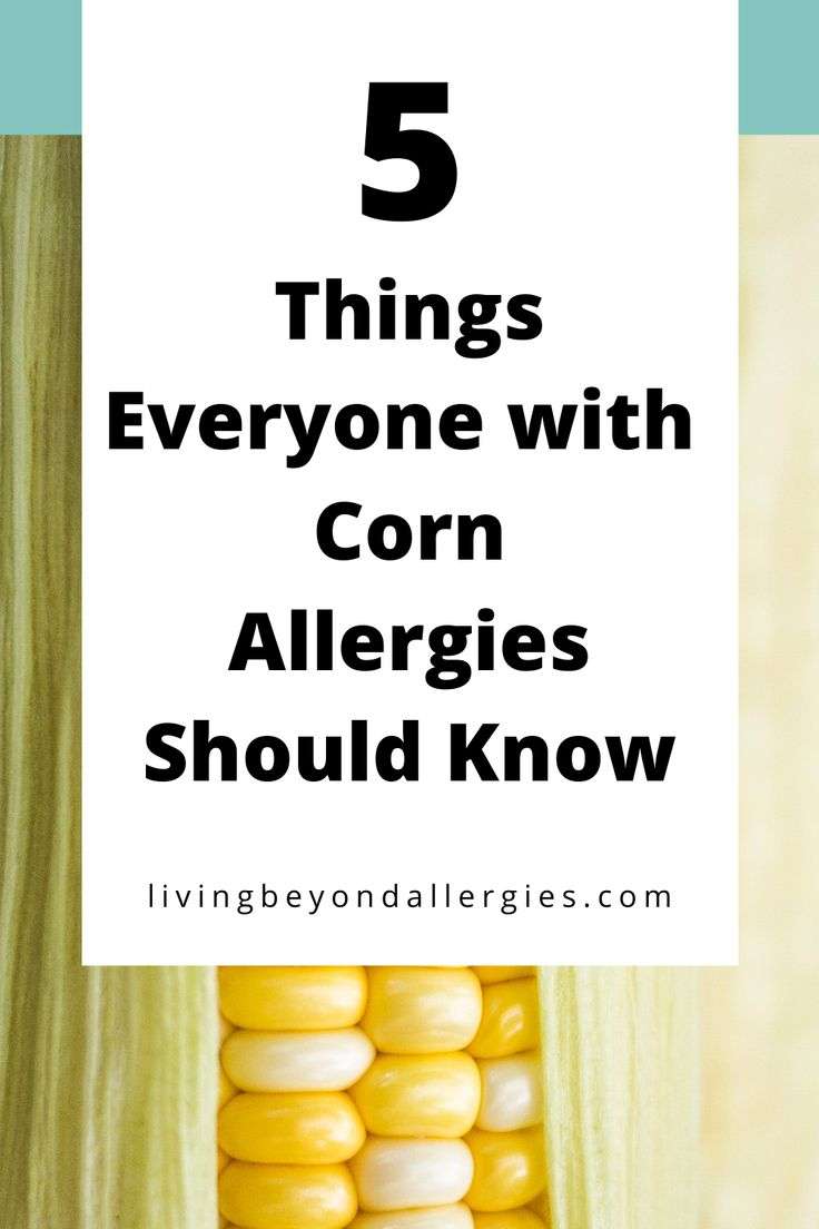 Corn Allergy What You Should Know