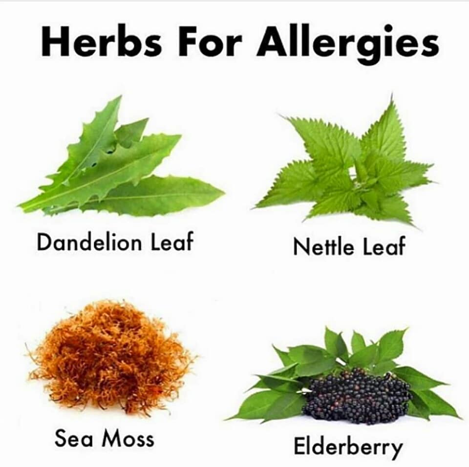 Did you know you can get rid of allergies by changing your diet and ...