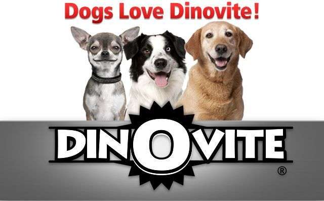 Dinovite Review: Pet Supplements