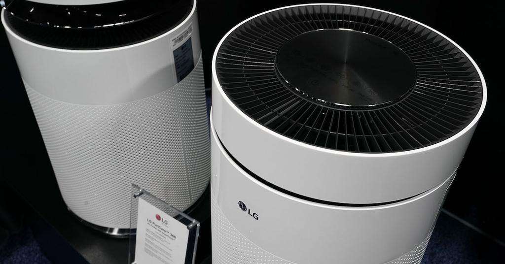 Do Air Purifiers Help With Allergies? Here