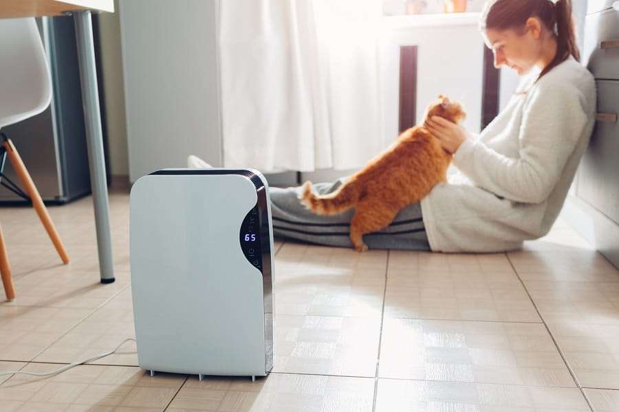 Do Air Purifiers Help with Cat Allergies