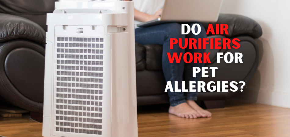 Do Air Purifiers Work for Pet Allergies? Can They Help Pet Owners 2021