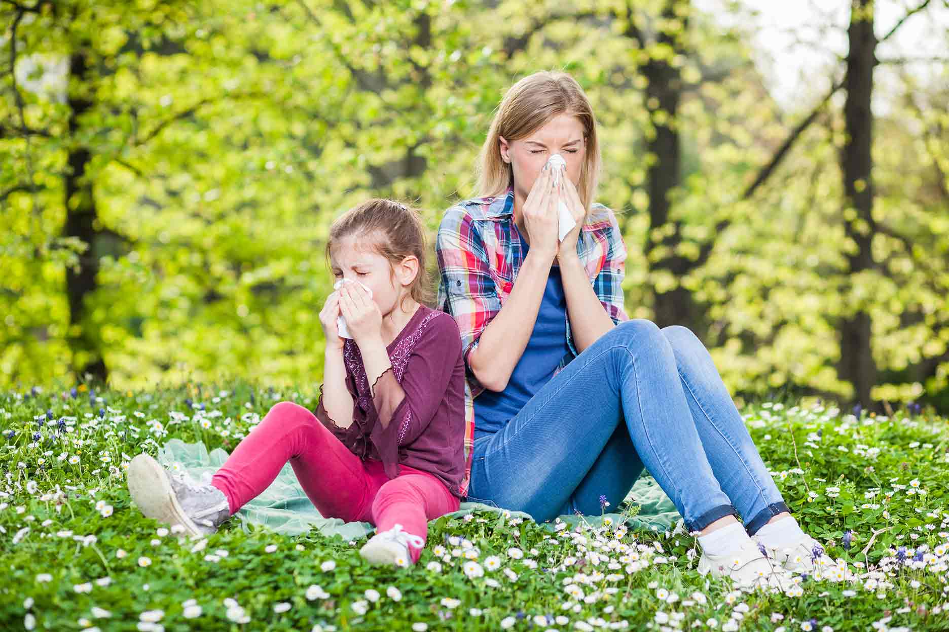 Do you suffer from Seasonal Allergies?