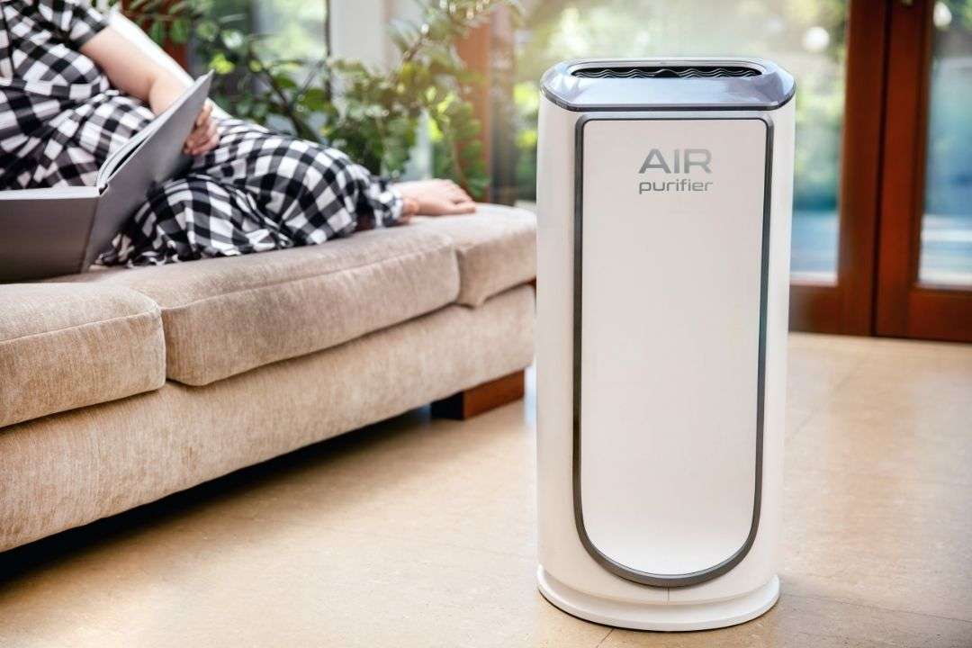 Does Air Purifier help with dust or dust mites?
