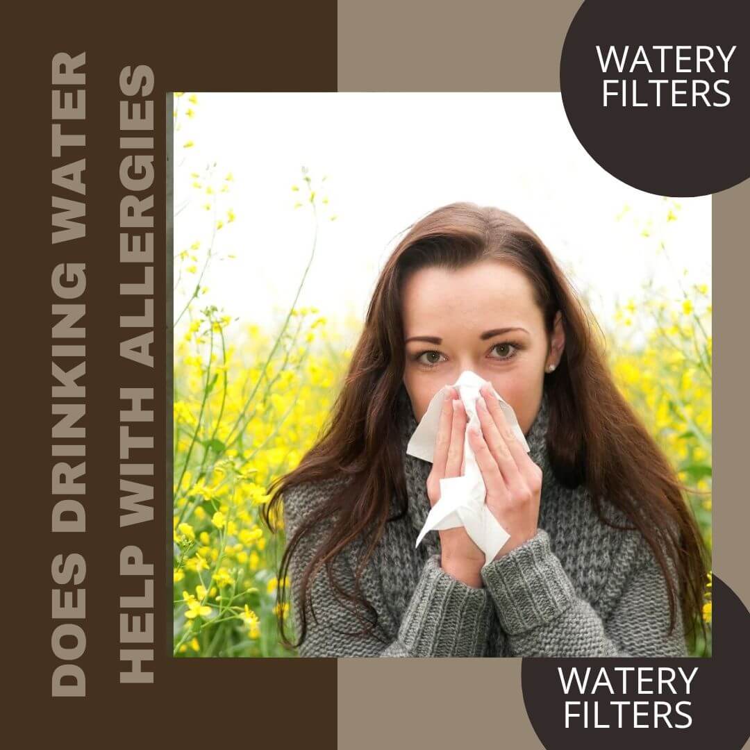 Does Drinking Water Help With Allergies? 6 Ways To Find Out