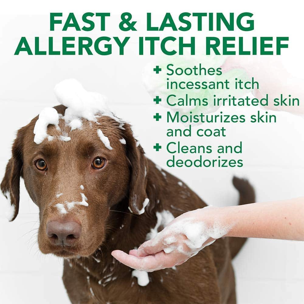 Dog Allergic To Grass Natural Remedy : Dog Allergies
