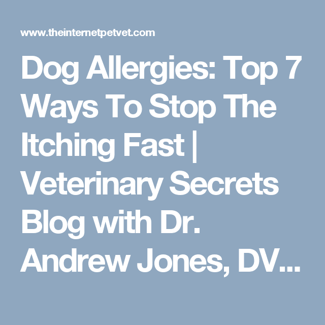 Dog Allergies: Top 7 Ways To Stop The Itching Fast