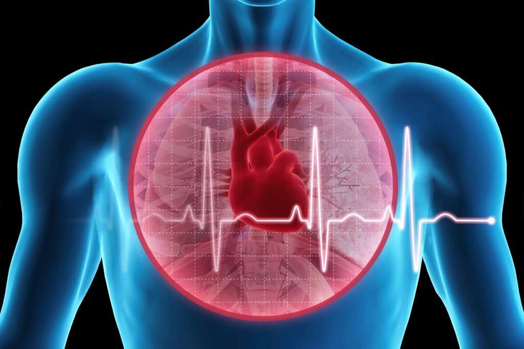 Drop in Resting Heart Rate in Youth