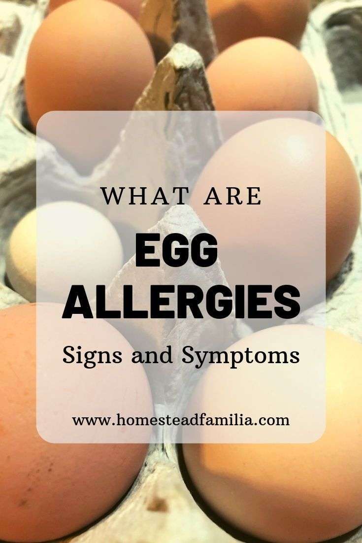Egg Allergies