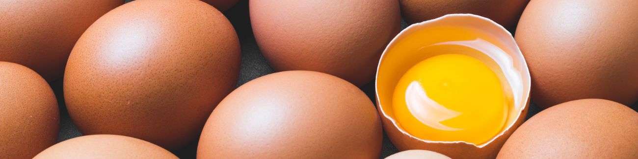 Egg Yolk Allergy Test