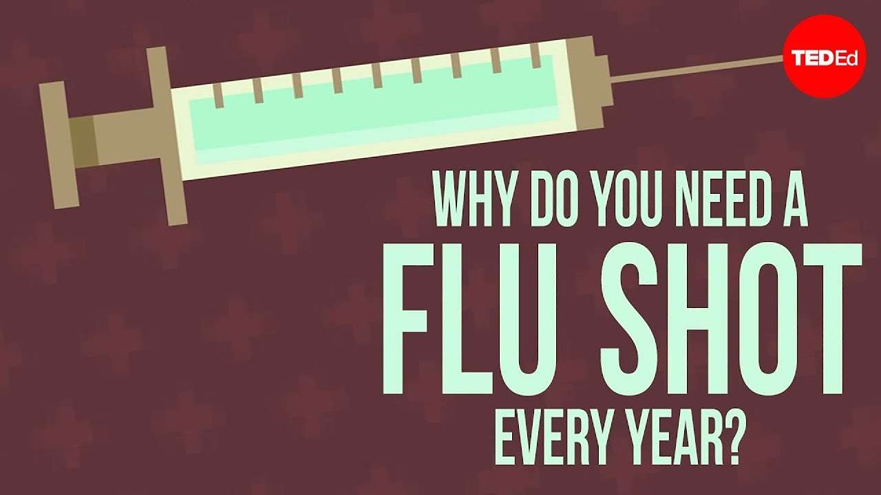elysianstagingandredesign: How Long Do You Get Allergy Shots