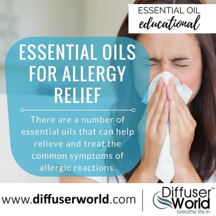 Essential Oils For Allergy Relief