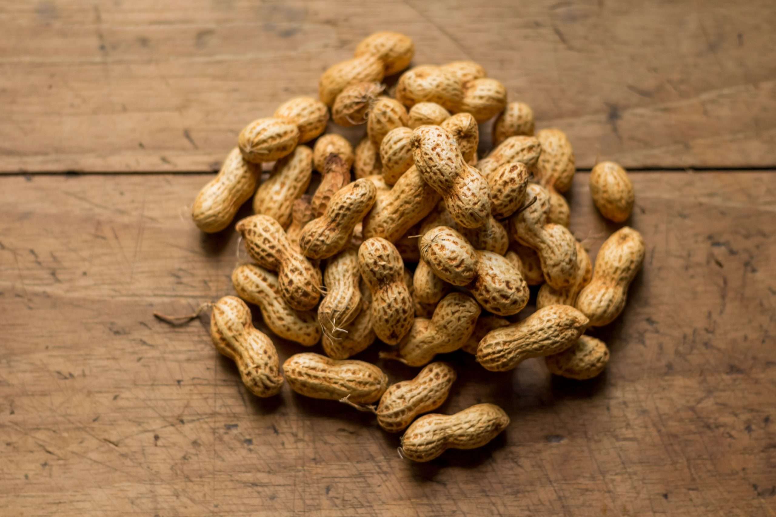 Everything You Wanted to Know About Peanut Allergy (With ...