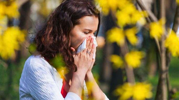 Fall Allergies And How To Get Rid of Them?  MyMedicineBox