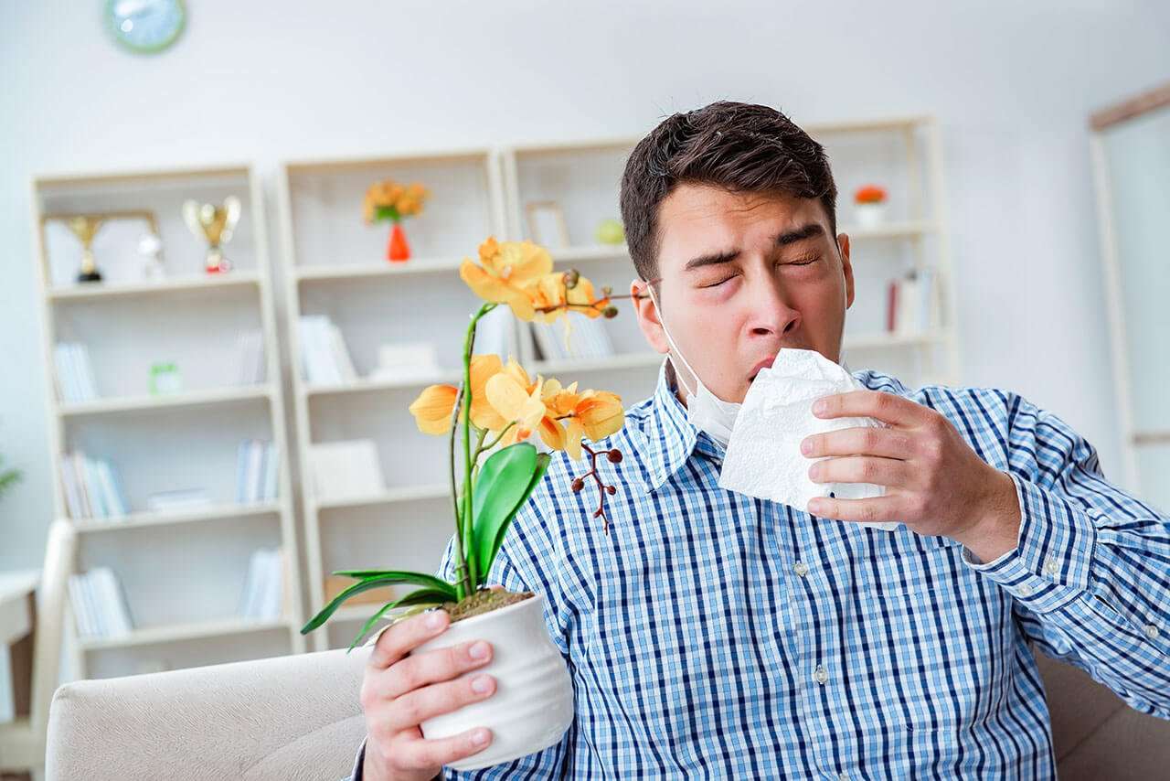 Five ways to relieve seasonal allergies naturally