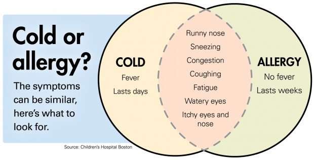 Flavors Of Spring Misery: How Allergies Differ From Colds ...