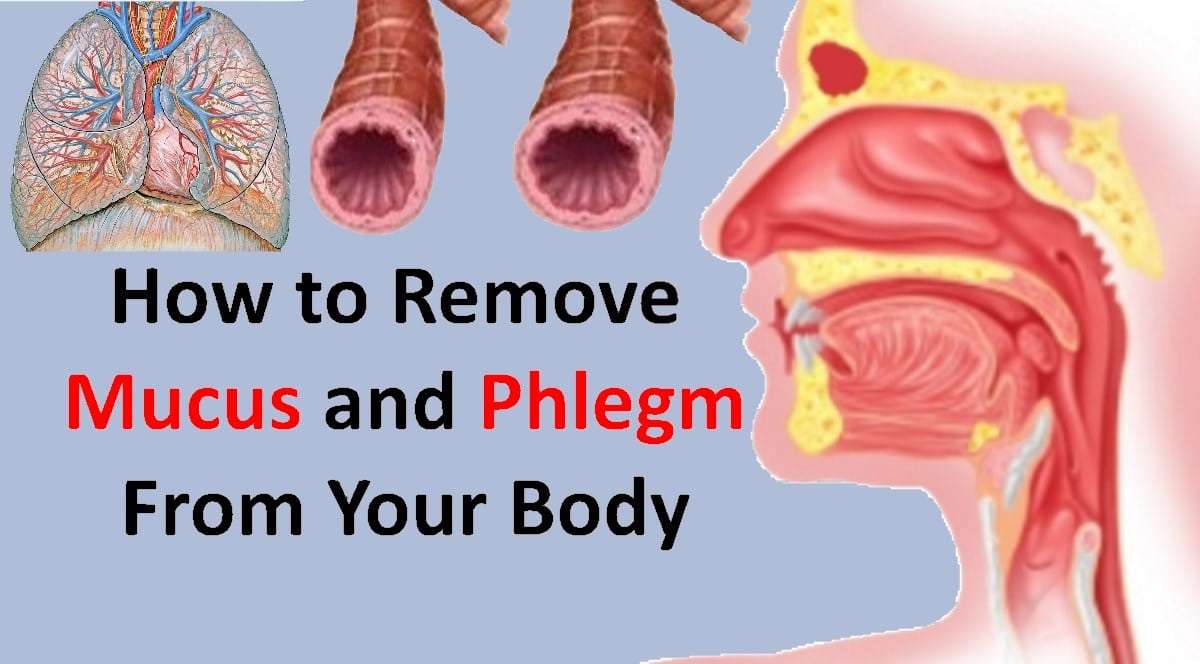 Flush Mucus From Your Body With These Effective Home ...