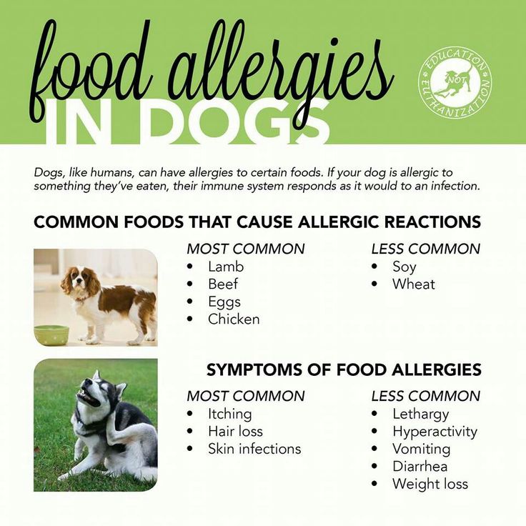 Food Allergy Chart