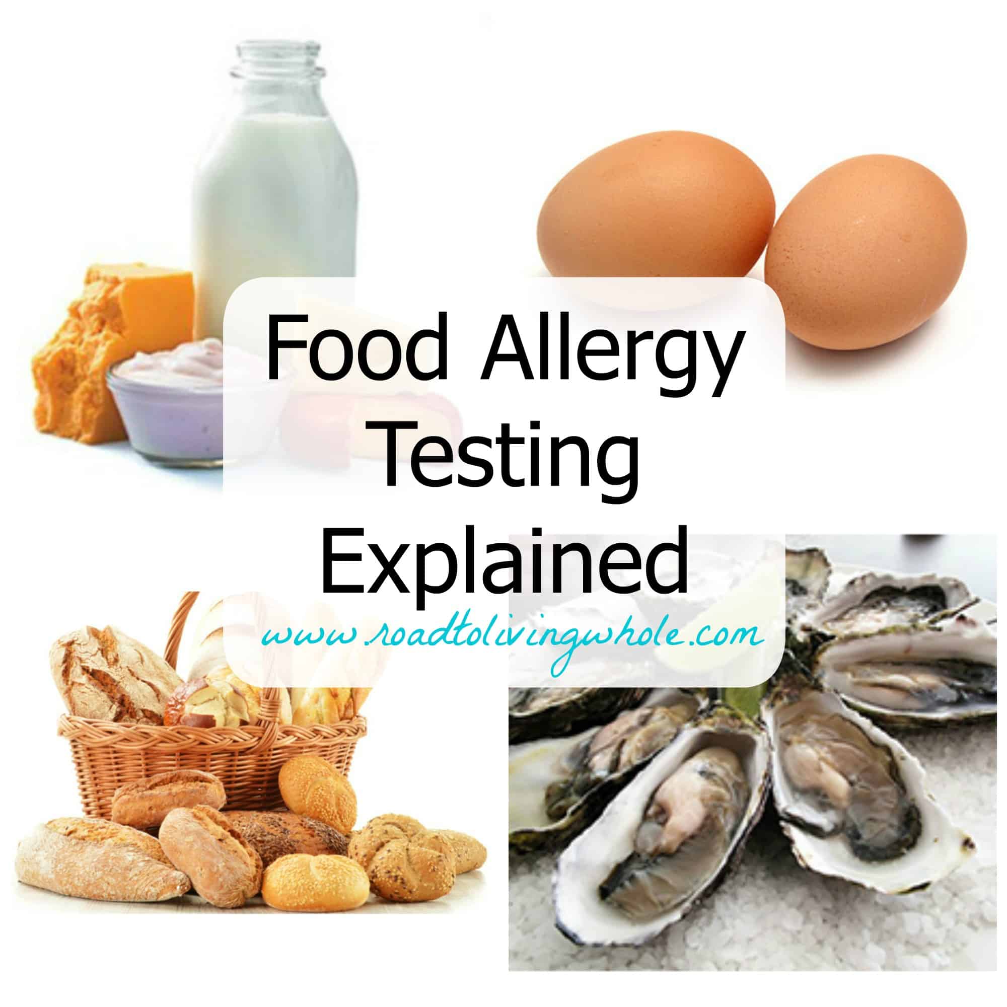 Food Allergy Testing Explained