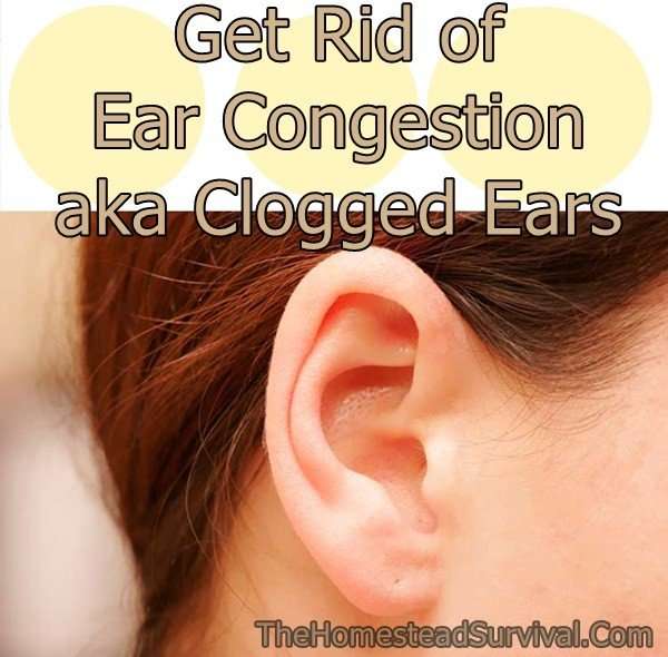 Get Rid of Ear Congestion aka Clogged Ears  The Homestead ...