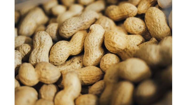 Getting Rid of Peanut Allergies in 2020