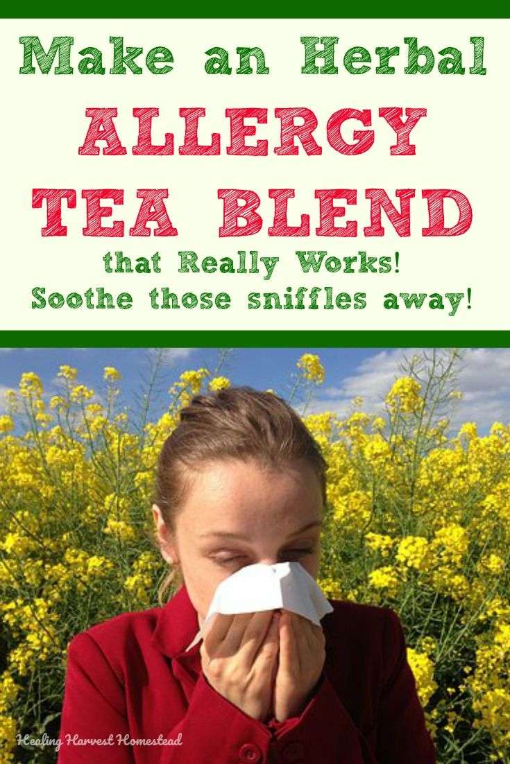 Have allergies? Here is an easy tea blend you can make yourself to help ...