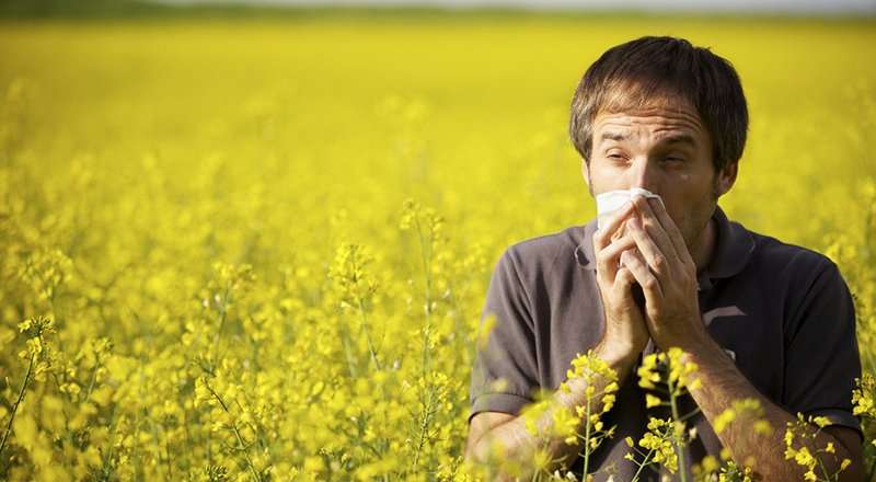 Hay fever: Causes, symptoms and treatment