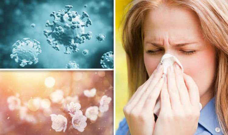 Hay fever: One in six believe the common allergy is spread ...