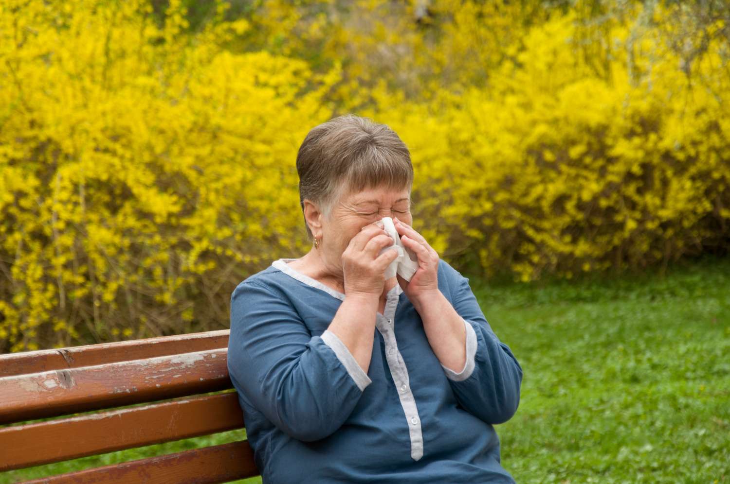 Hay Fever &  Seasonal Allergies: Symptoms, Causes &  Treatment