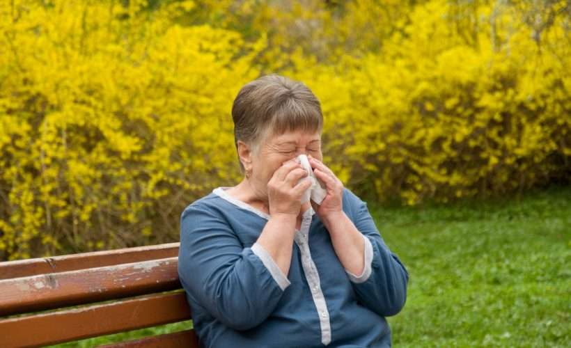 Hay Fever & Seasonal Allergies: Symptoms, Causes ...