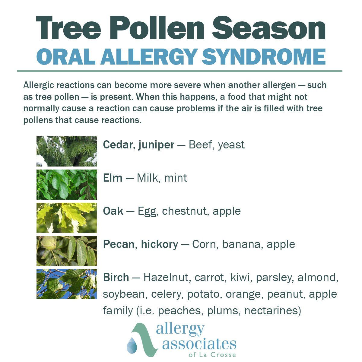Headache Allergies Pollen