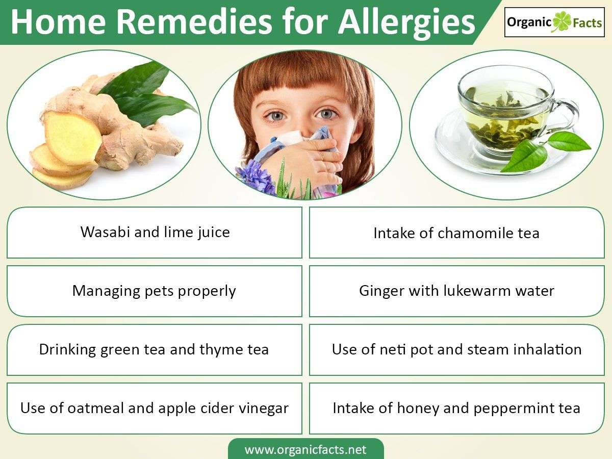 Home remedies for allergy include honey, ginger, green tea ...