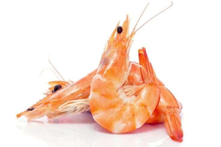 How Can an Adult Develop Shrimp Allergy in 2020 (With ...