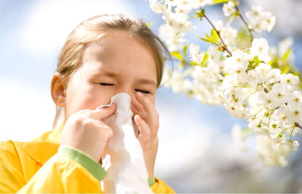 How Can I Treat My Childs Spring Allergies?